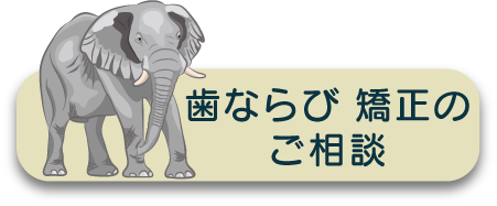 歯ならび 矯正相談