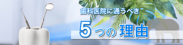 歯医者に通ったほうがいいと言われる5つの理由