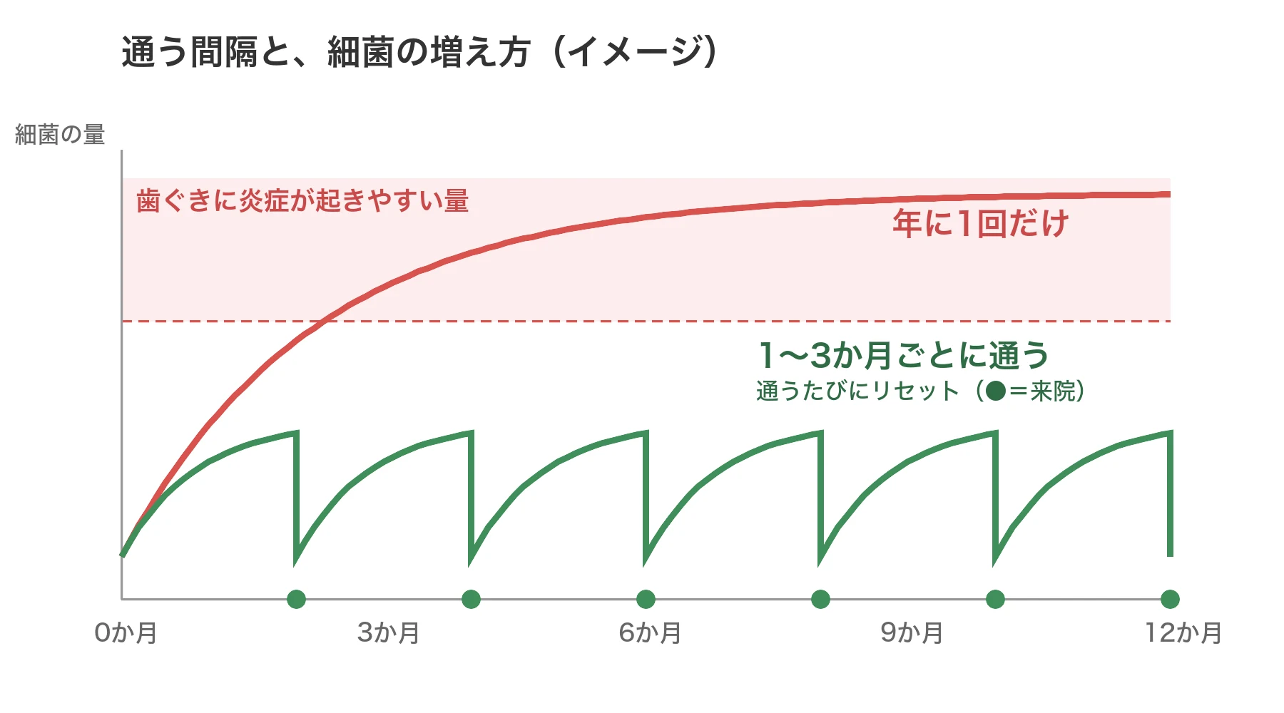 通う間隔と細菌の増え方のイメージのグラフ。年に1回だけだと細菌が炎症の起きやすい量まで増え続け、1〜3か月ごとに通うと来院のたびにリセットされて低いまま保たれる