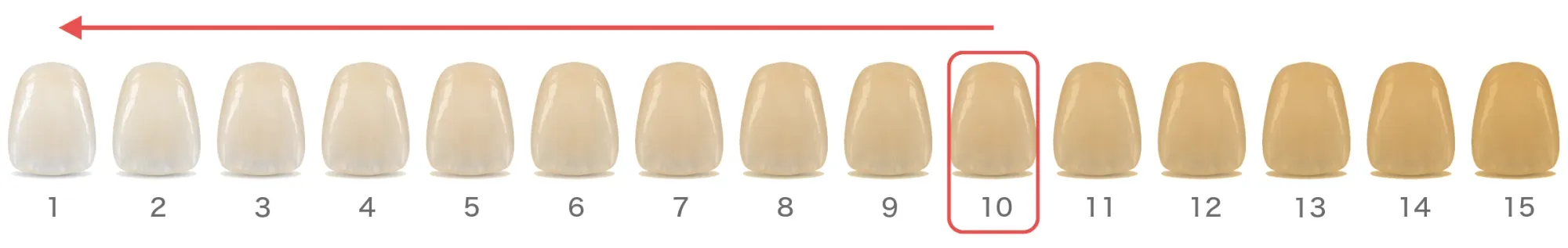 歯の色見本（シェードガイド）。1から15へ向かって黄色みが強くなる歯の形の見本が並び、10番に印、左の白い方へ矢印