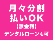 月々分割払いOK